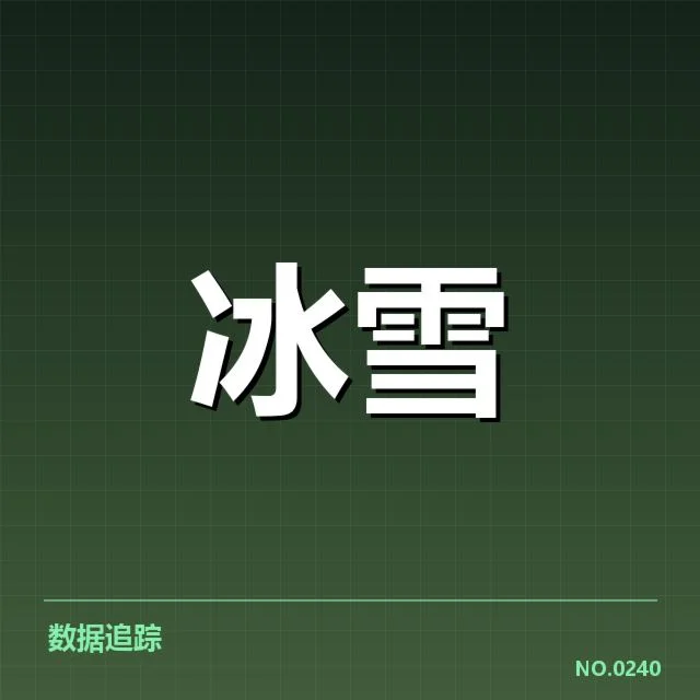 核心运动员与表现亮点确认